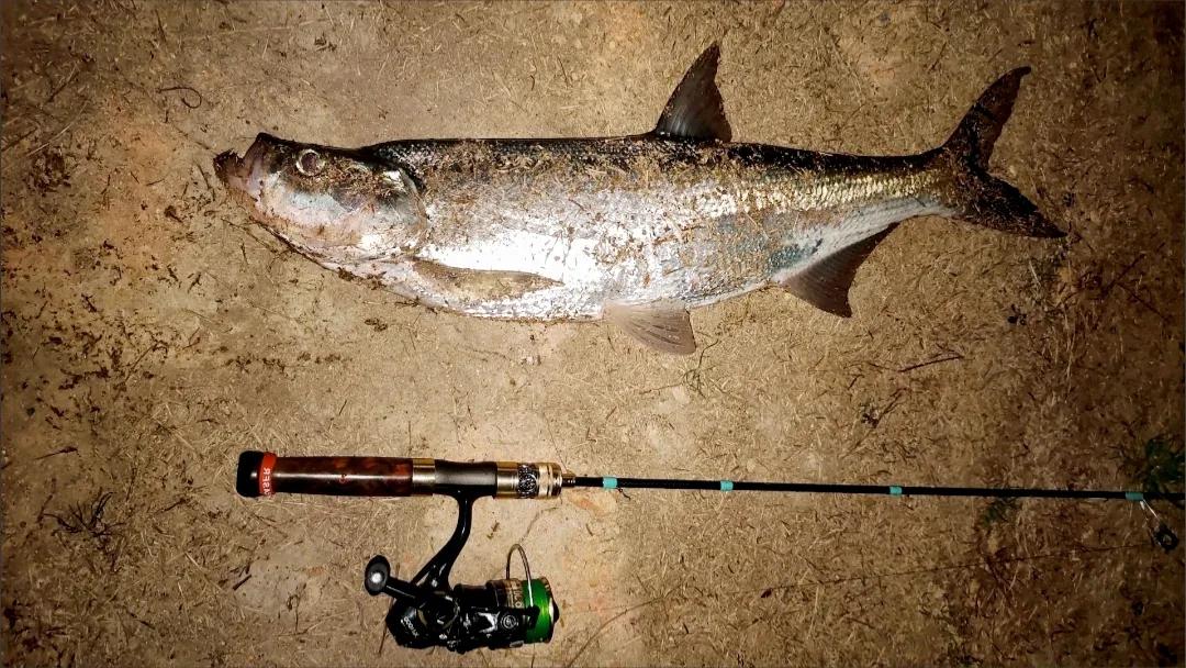 路亚野钓大师被抓,路亚泥鳅钓鱼抓到了会怎么样