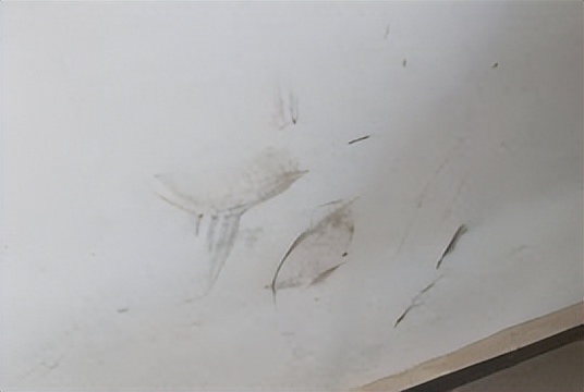 生活小技巧十个小妙招有哪些,生活小窍门100个必备小妙招