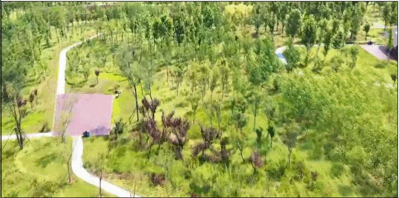 疯狂连更！山东这场持续两个月的直播，观看量超3.7亿