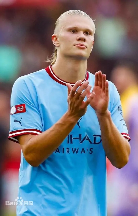 世界十大球星,世界公认的十大球星