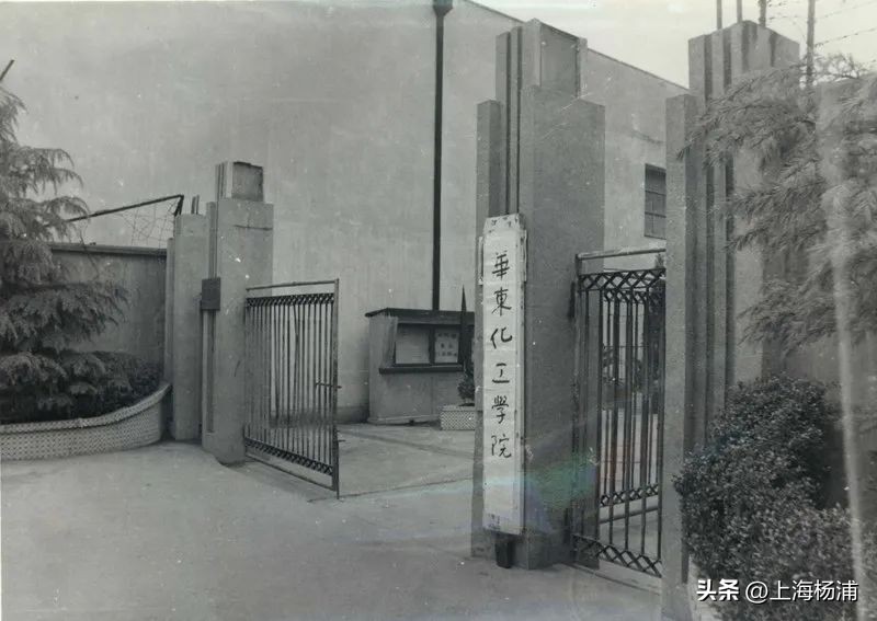 上海开放大学杨浦,杨浦区开放大学分校
