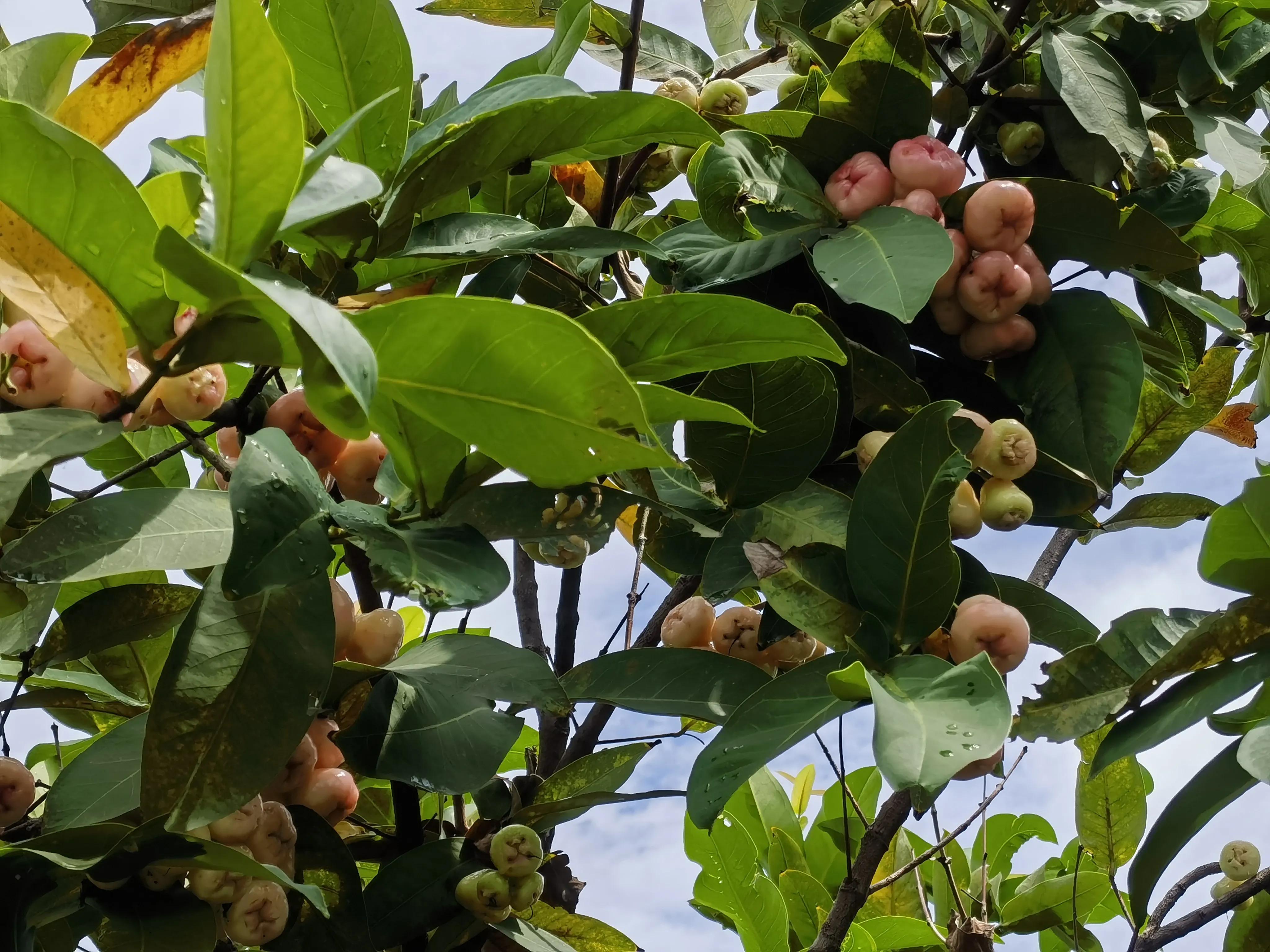 结石的痛苦有谁懂,结石的痛怎么缓解