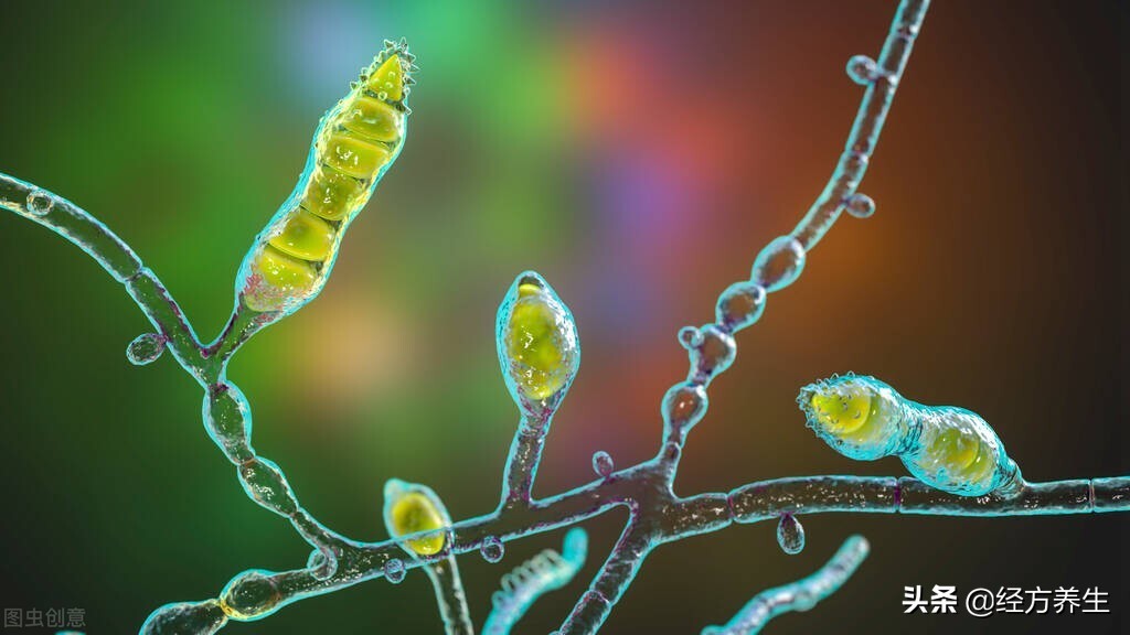 一到冬天脚出汗又臭是怎么回事,脚丫子一出汗就臭是什么原因