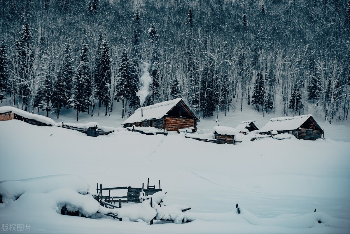 摄影入门镜头怎么选购最好,35mm定焦镜头价格及选购攻略