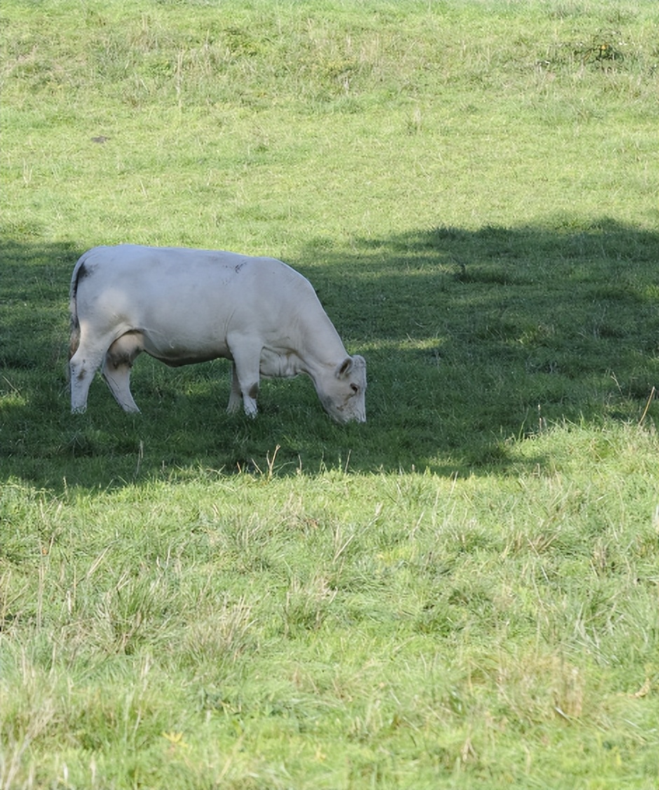 李慧：秦岭之巅有人家