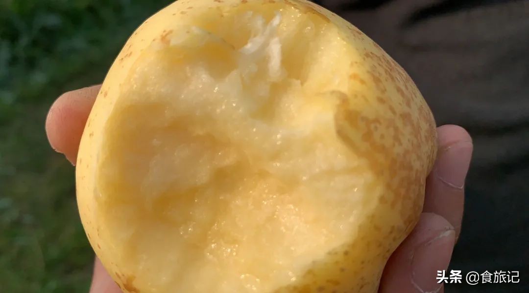 断货王！出口级威海金苹果，今日半价就能买1箱