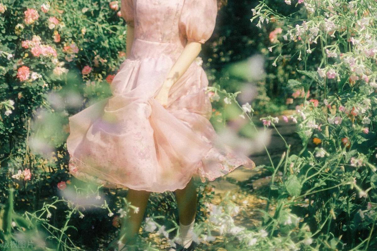 值得收藏价值高的书,一本价值不可估量的书