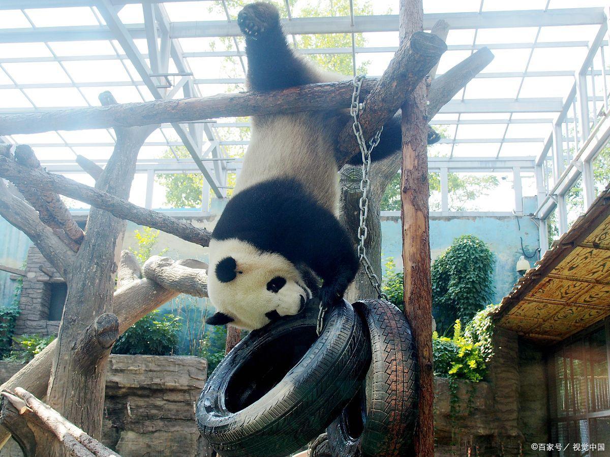 无锡必去的景点排名,无锡必去五个景点排名