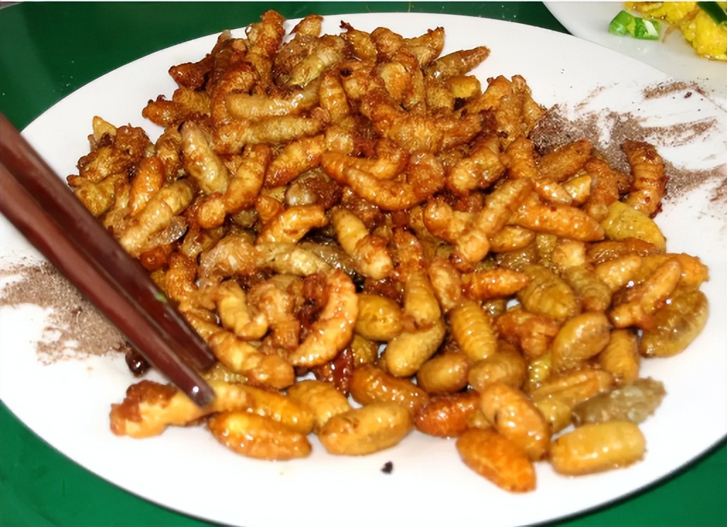 马蜂金环胡蜂vs杀人蜂,杀人蜂和胡蜂哪个更危险