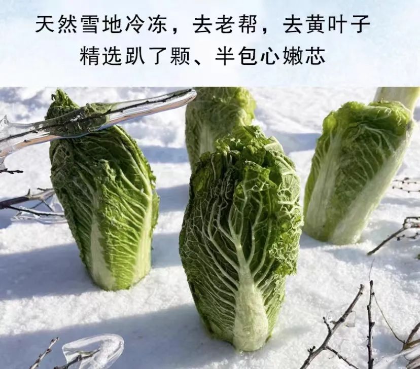 当一个南方人在北方吃西瓜,当一个南方人在北方点一个菜