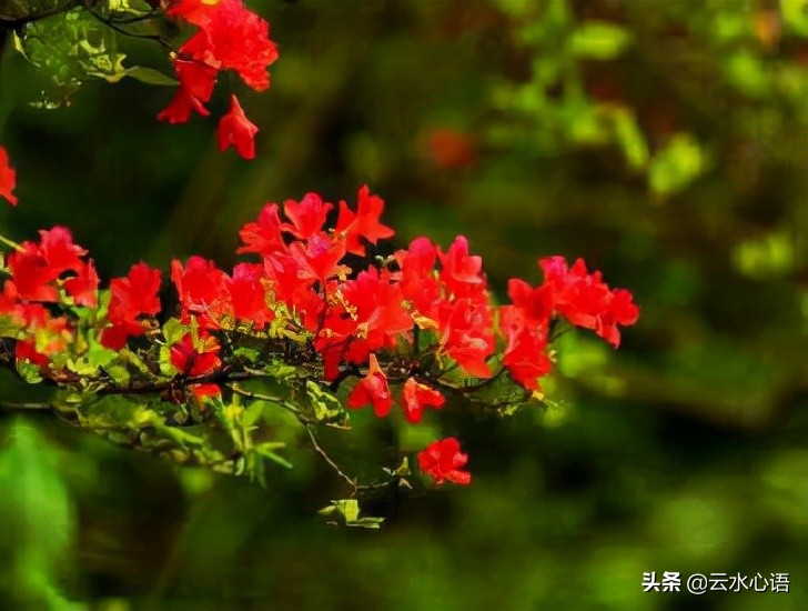 描写风的诗句古诗大全集,盘点写风诗词中的经典诗词