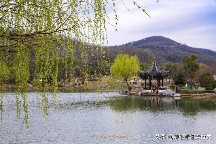 镇江一座美的让人吃醋的城市路牌,镇江一座美的让你吃醋的城市