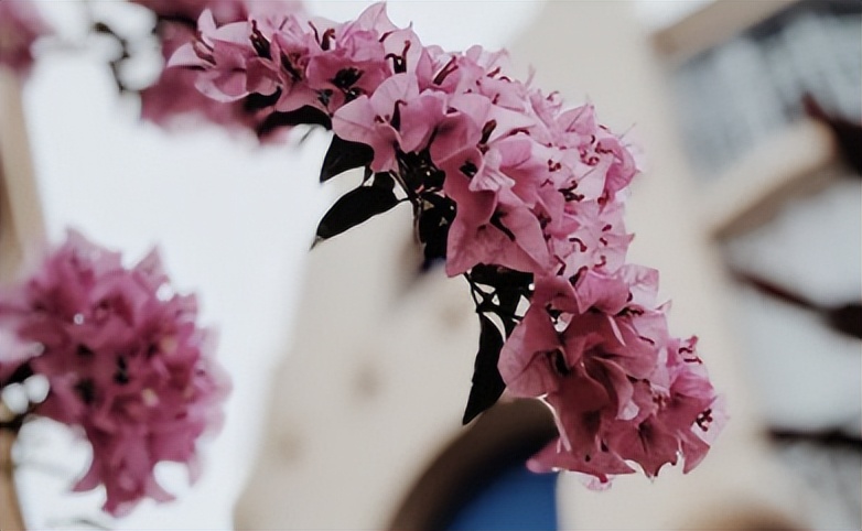 一键清空自己朋友圈内容,清空自己让心归零