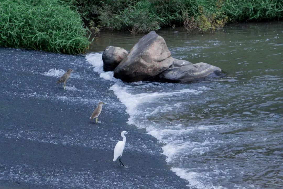 国内好看小众的湖泊,深圳好玩的湖泊有哪些