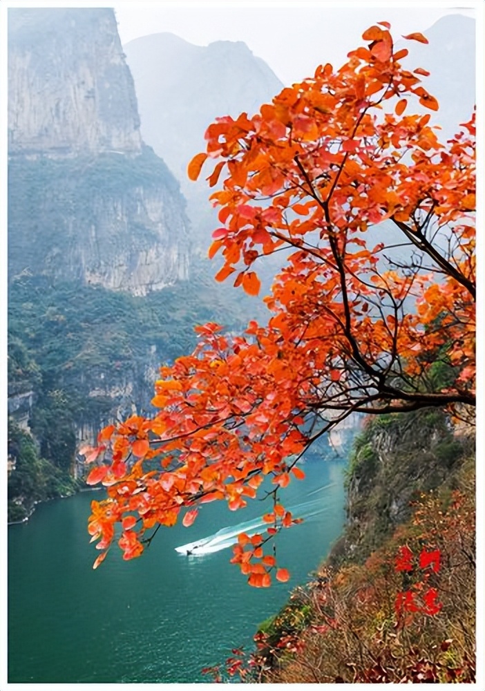 重庆AAAAA级景区有哪些,重庆aaaaa级景区云端廊桥