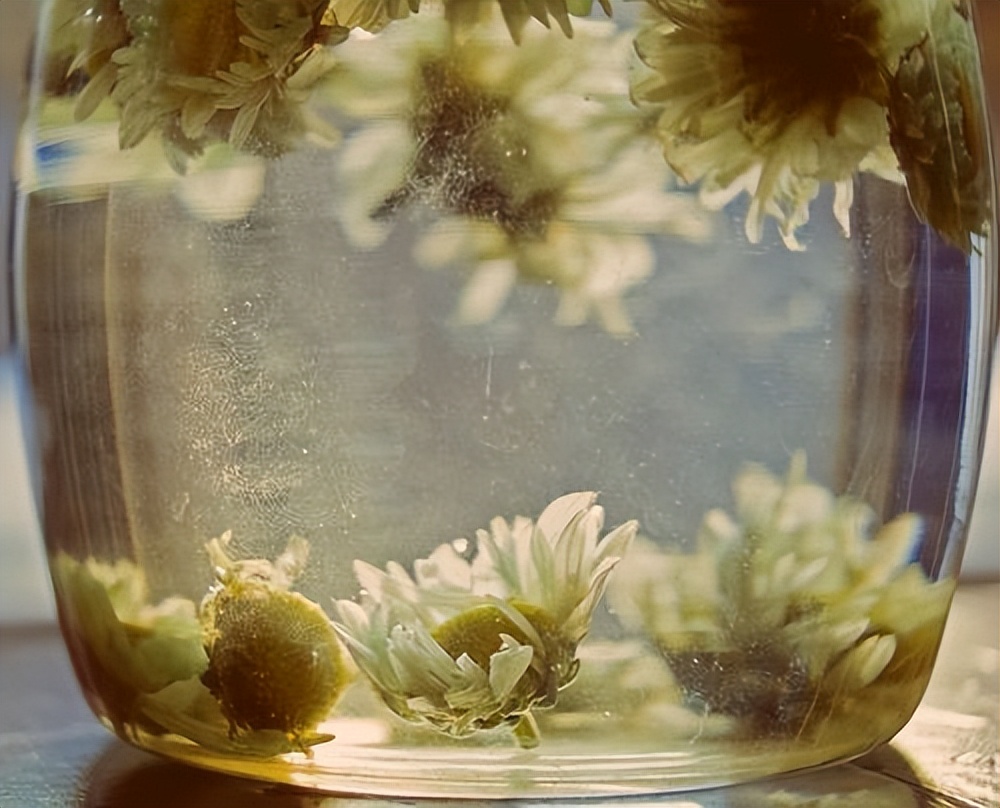 老年人喝什么菊花茶清热泻火好,中老年菊花茶