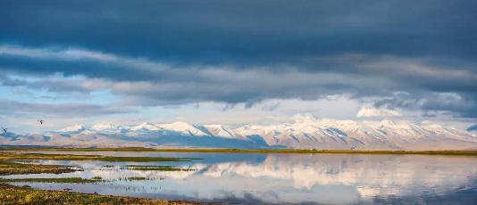 西藏阿里最值得去的地方,西藏阿里最美的地方