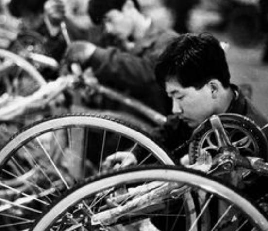 凤凰永久和捷安特哪个值得买,永久自行车对比捷安特