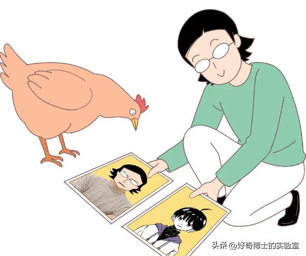 怎么知道自己颜值,怎样才能看到自己更真实的颜值