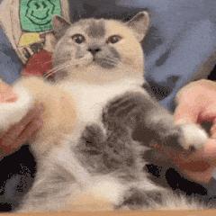 组装电脑哪些不建议二手,组装电脑建议买二手的吗