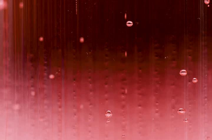 鑻忓窞涓存湡椋熷搧,鑻忓窞鍖楁ˉ涓存湡椋熷搧