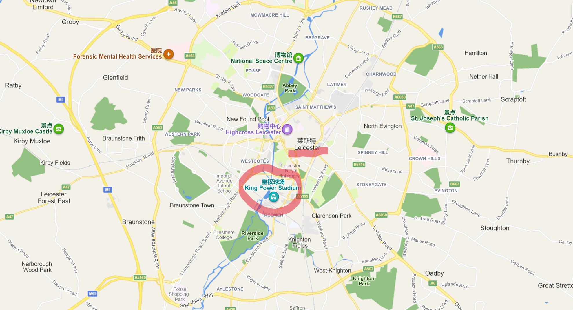 莱斯特城球员评价维猜,莱斯特城球员悼念维猜