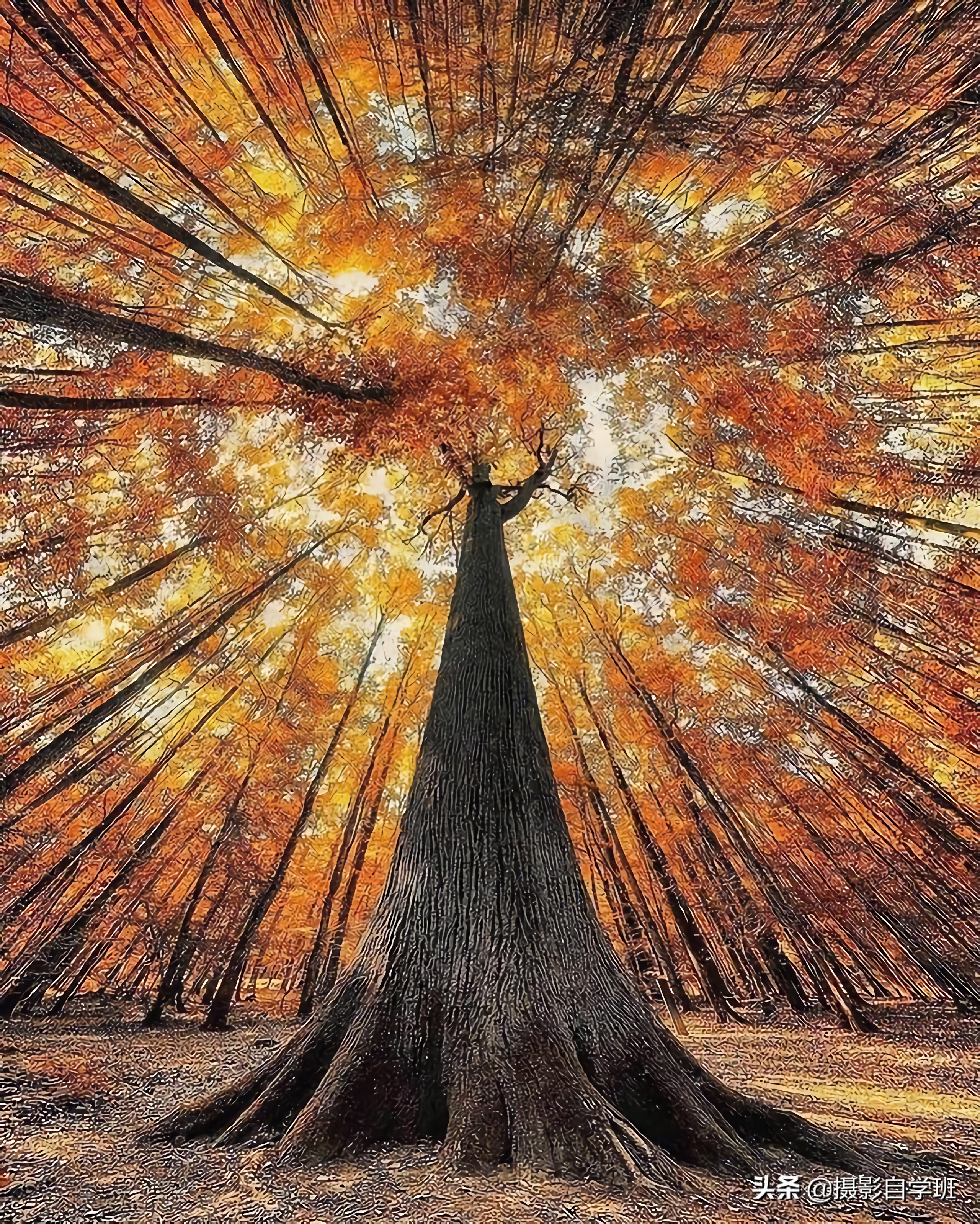 6个拍摄风景相片的重要技巧,风光摄影拍摄技巧图片