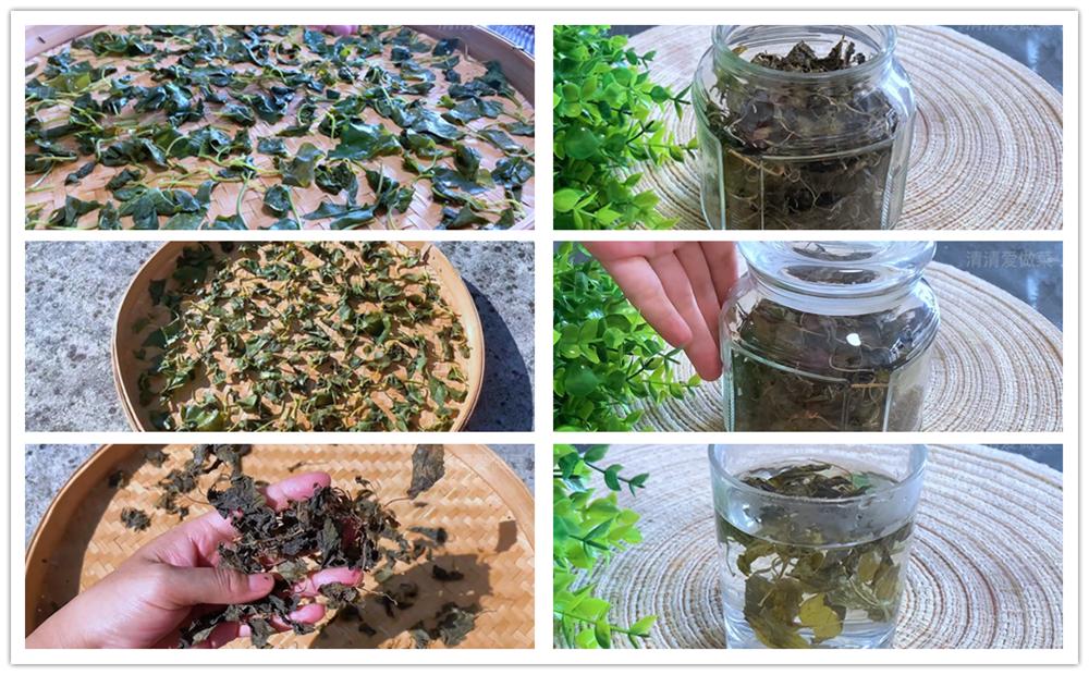 鱼腥草茶怎样做,鱼腥草茶怎么做