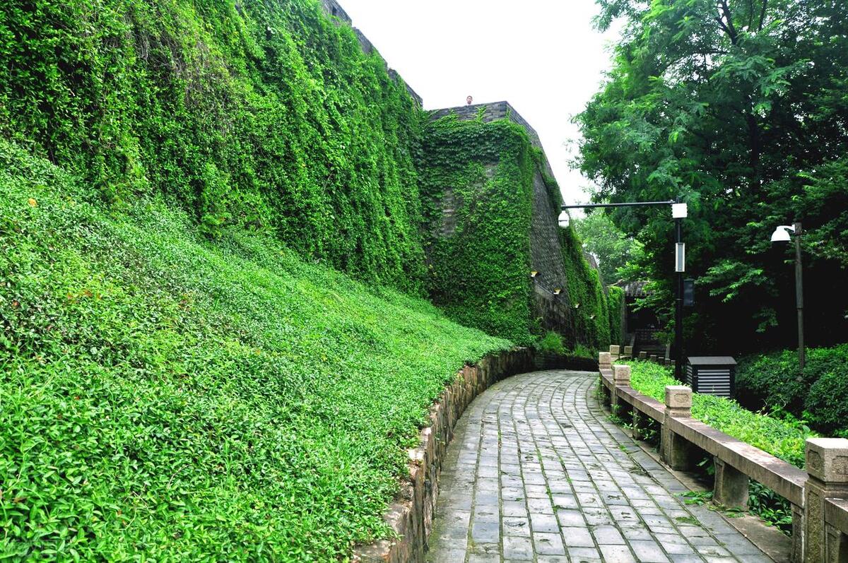 苏州这座城市怎么样,苏州最值得去哪个区