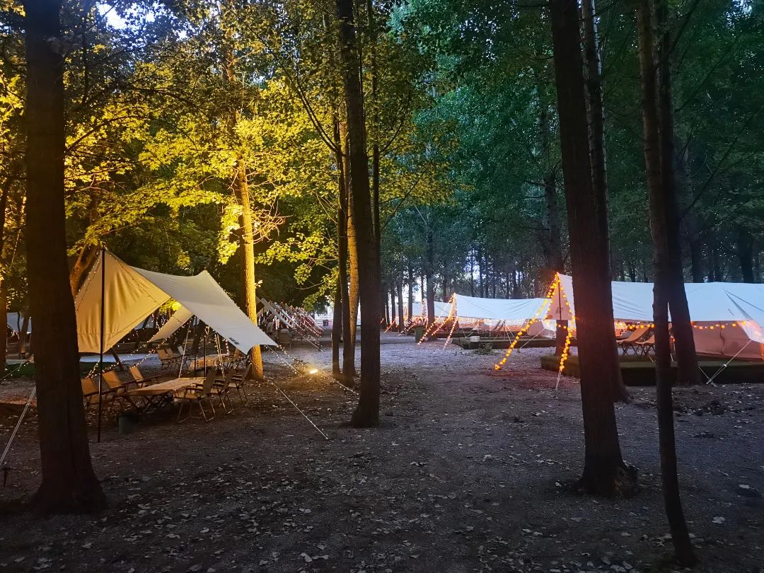 济南既能吃又能玩儿的露营地,济南创意打卡露营地