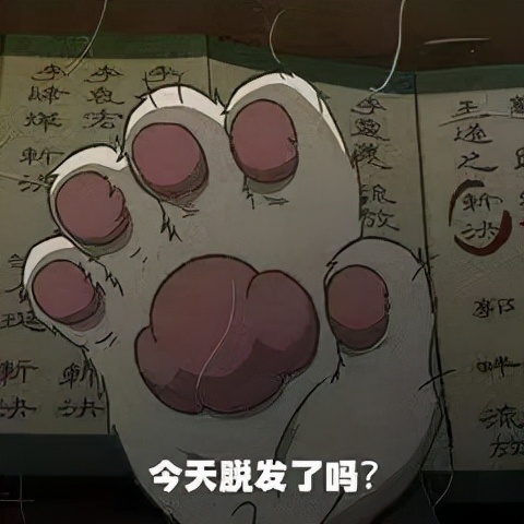 气血不足皮肤暗黄怎么调养,男士肝郁气血不足怎么调养