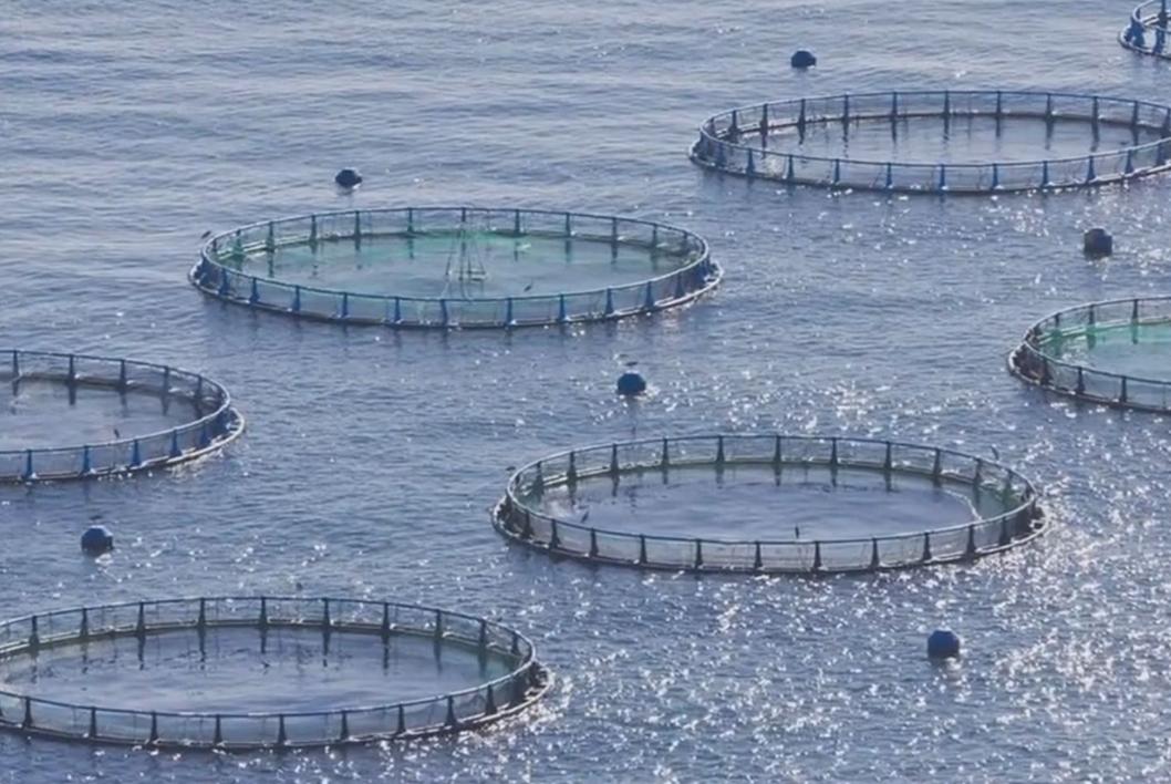 中美在南海最新局势消息,南海局势最新军事消息中美