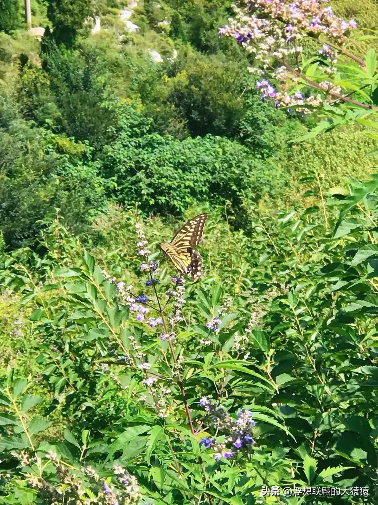 济南章丘冬天自驾游路线推荐,济南周边石门村攻略