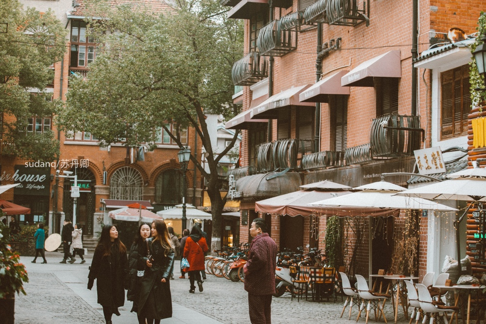 国外俩兄弟买了一栋别墅,武汉100年老房子带院子出售