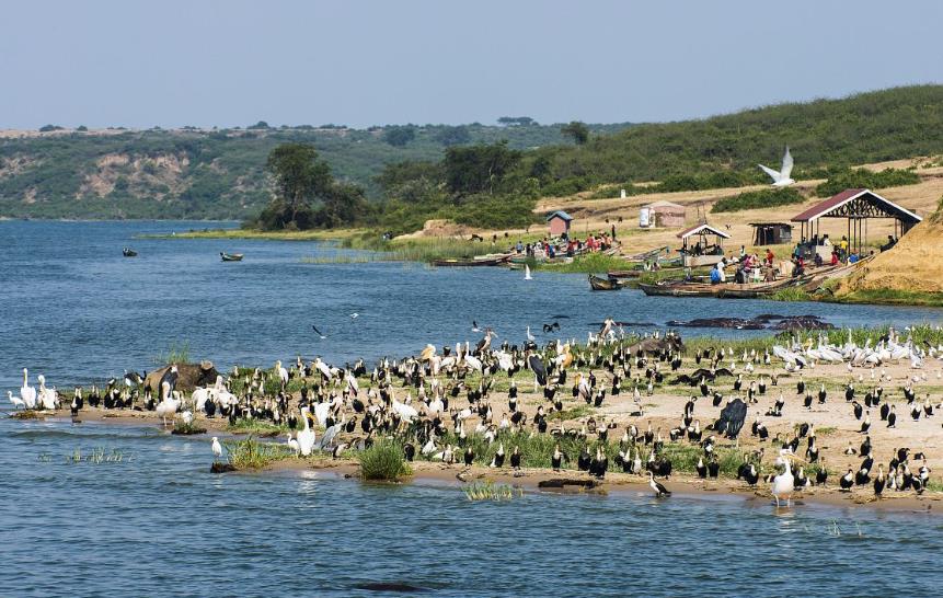 中国为何投资乌干达,乌干达铁路协议终止的原因