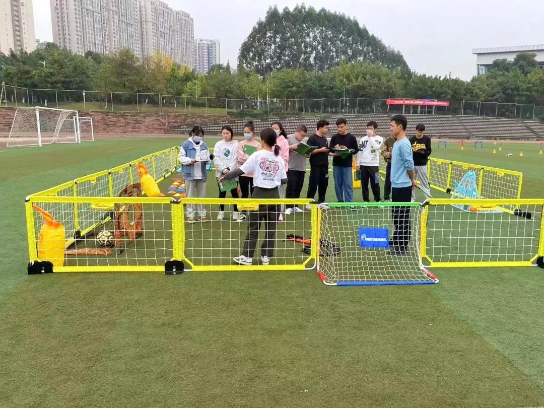 派迪茵体育股份有限公司,派迪茵体育广州