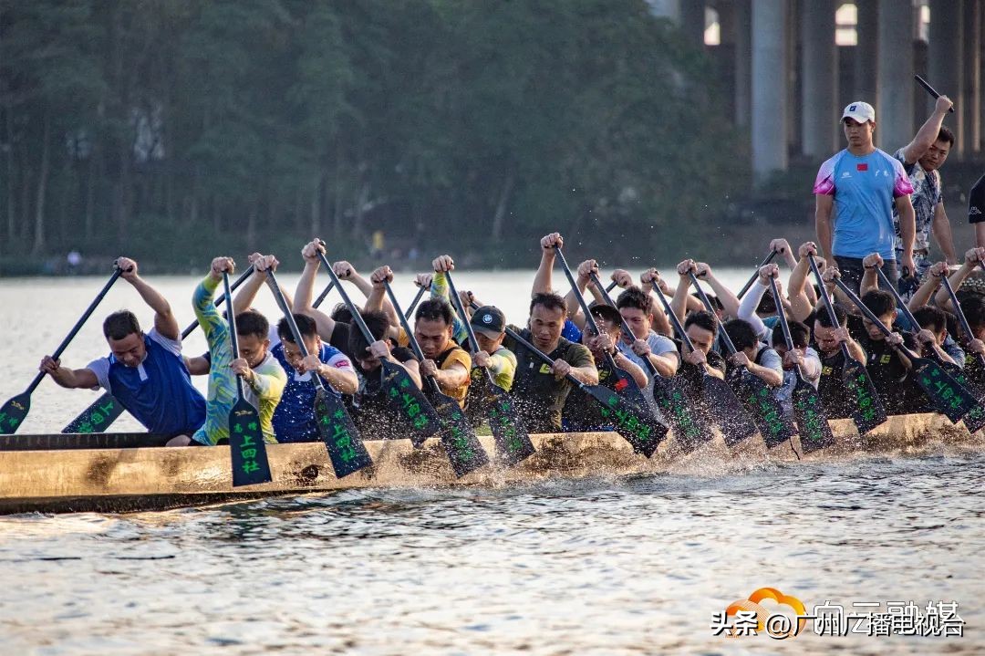 广州多区“睇龙船”超全指南,广东“睇龙船”指南来了