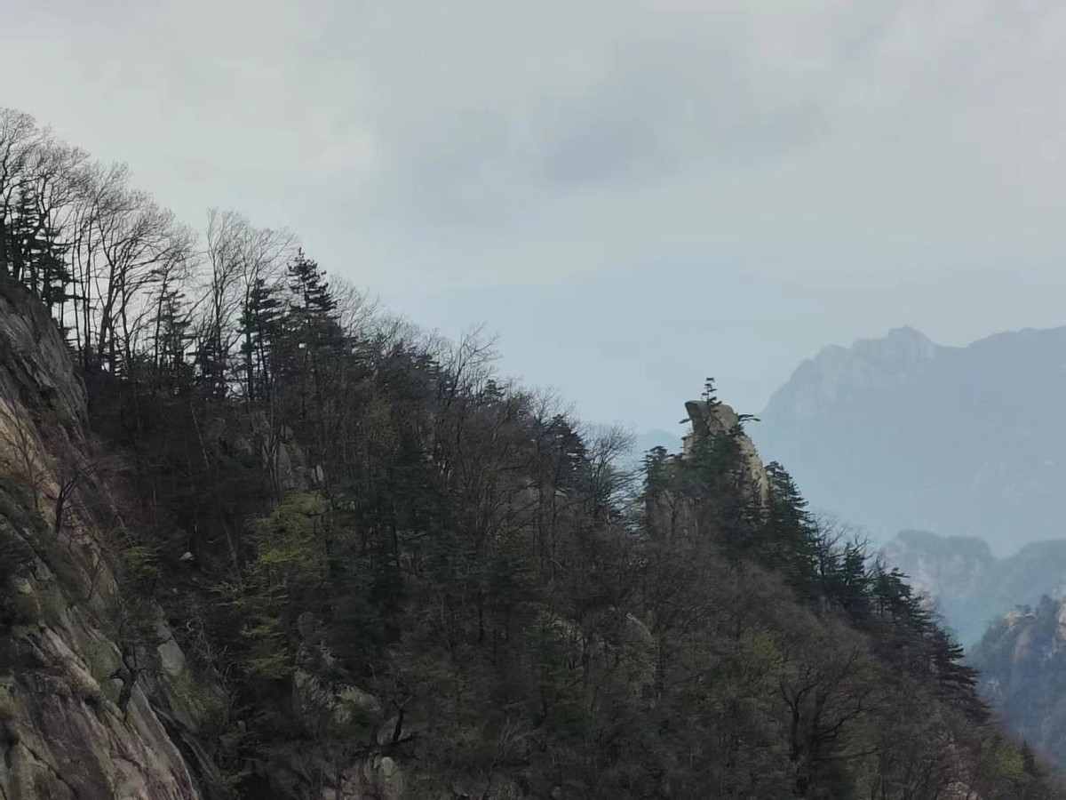 尧山大佛一日游攻略,尧山大佛高多少米