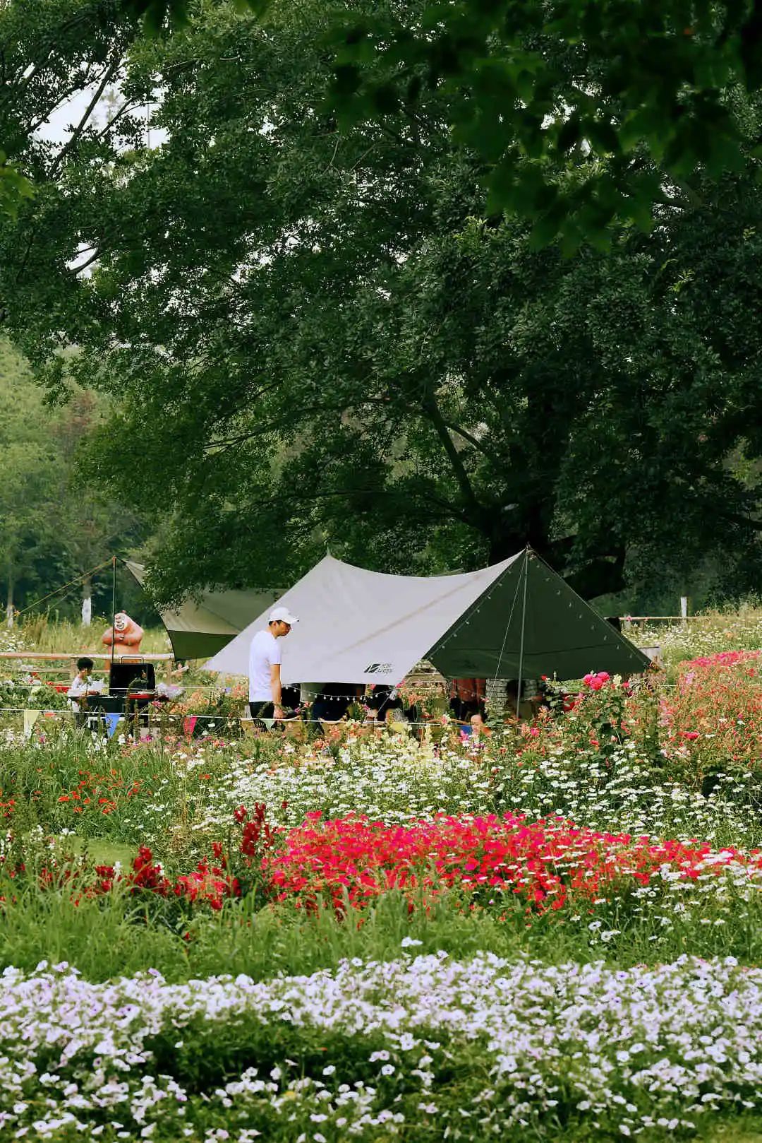 秀丽东方最新版,秀丽东方最新视频