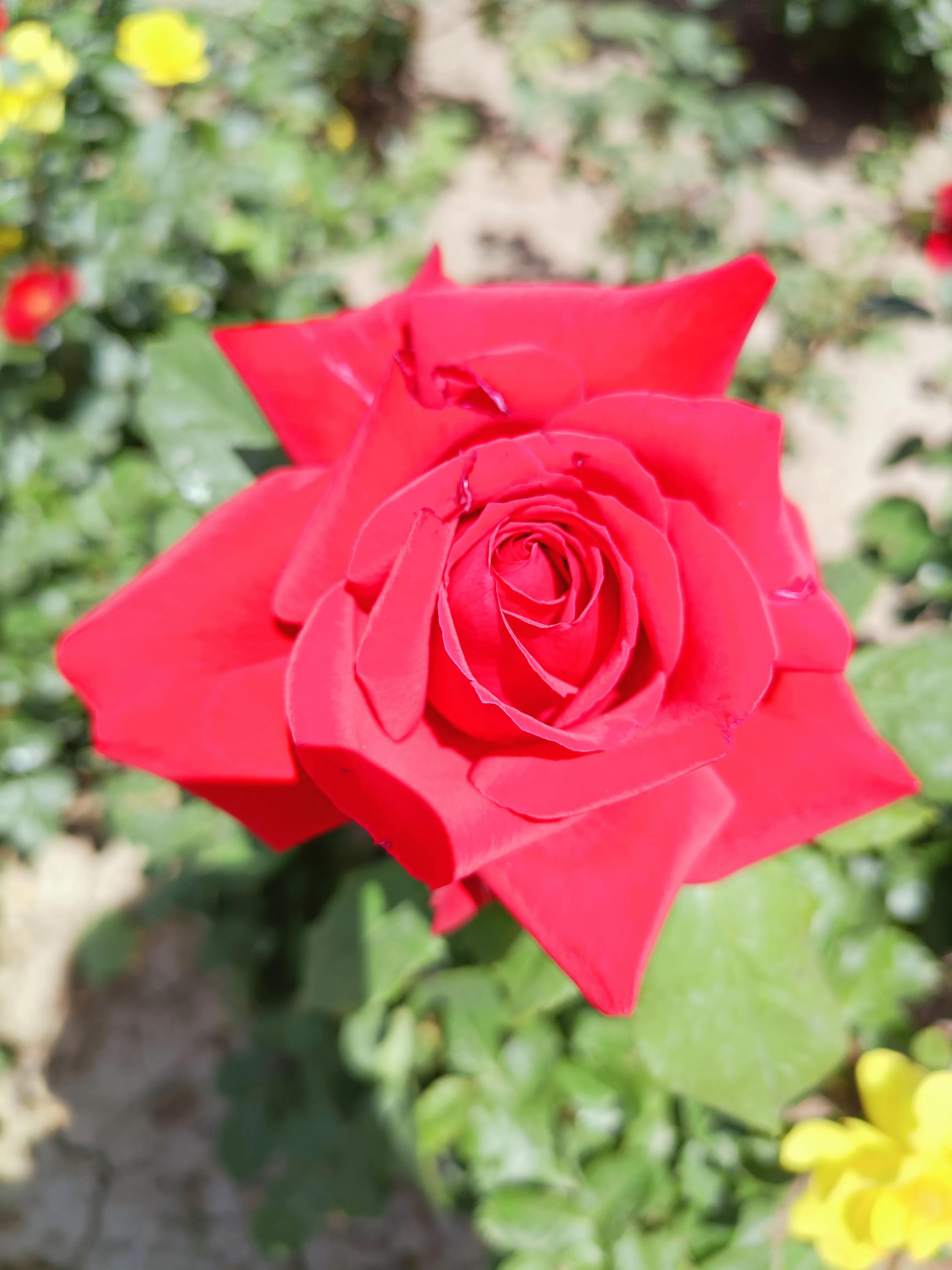 门前放铜钱应该说什么吉利话,宅西有路财神光顾有什么说法