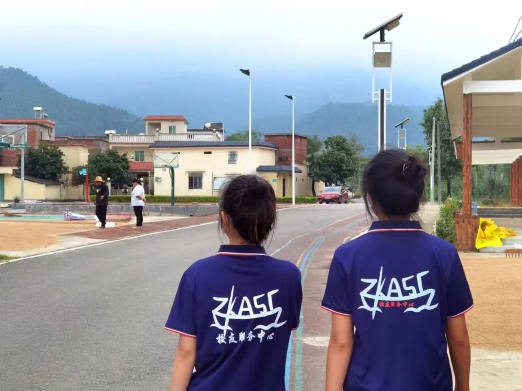 打好特色产业组合拳,筑牢特色产业重要根基