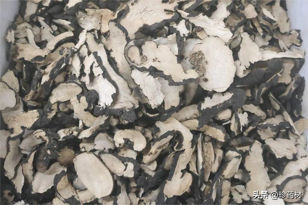 10月13日中药材市场快讯：川芎、猪苓、白前、木蝴蝶、肉桂、麦冬