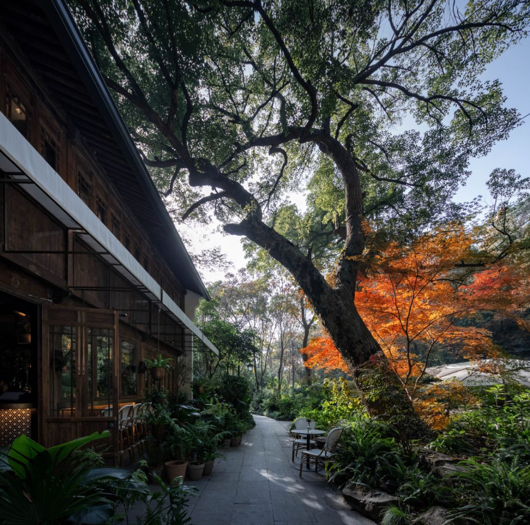 民宿投资建议,民宿值得投资的项目