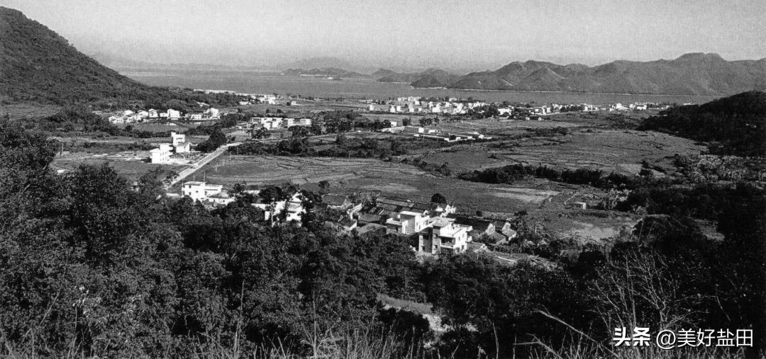 只有山海，是对盐田最大的误解！