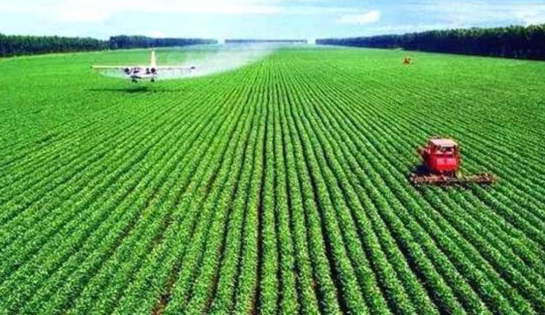 印度为何不控制人口,印度人口为何那么多