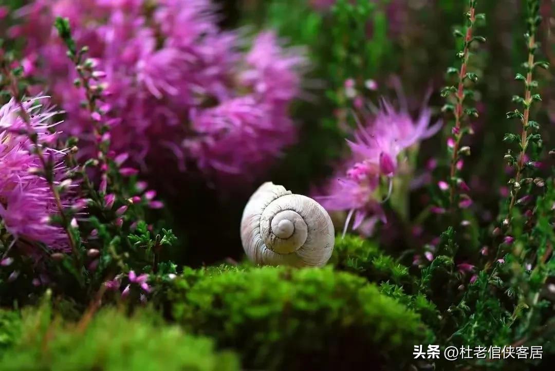 品读百味人生之阅读,品读百味人生之闲话幸福