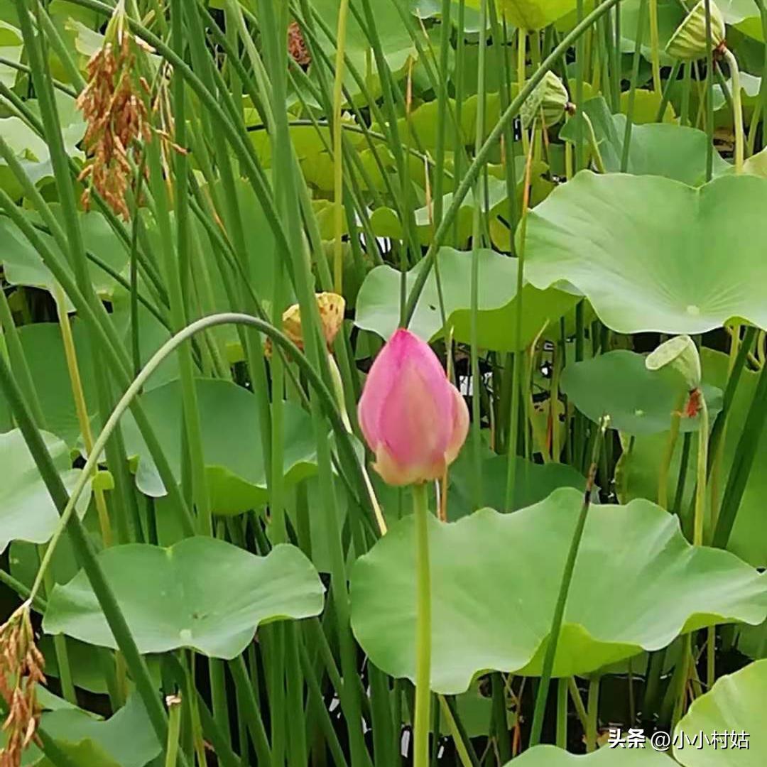 我和我的心理学结缘,我作为一名心理咨询师的感悟