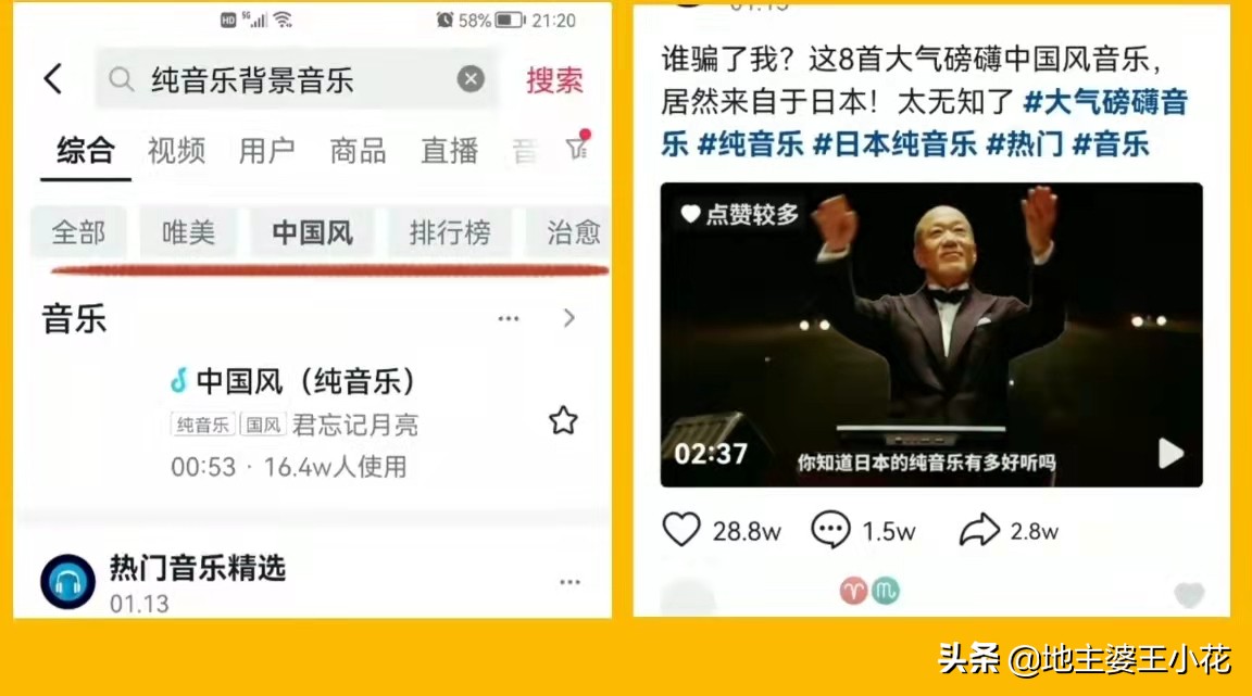 各种小花背景音乐,小花视频背景音乐