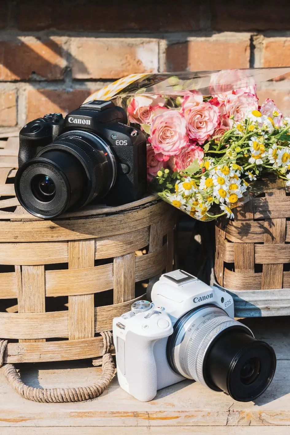 佳能eosr50怎么样拍照,佳能eosr50怎么样