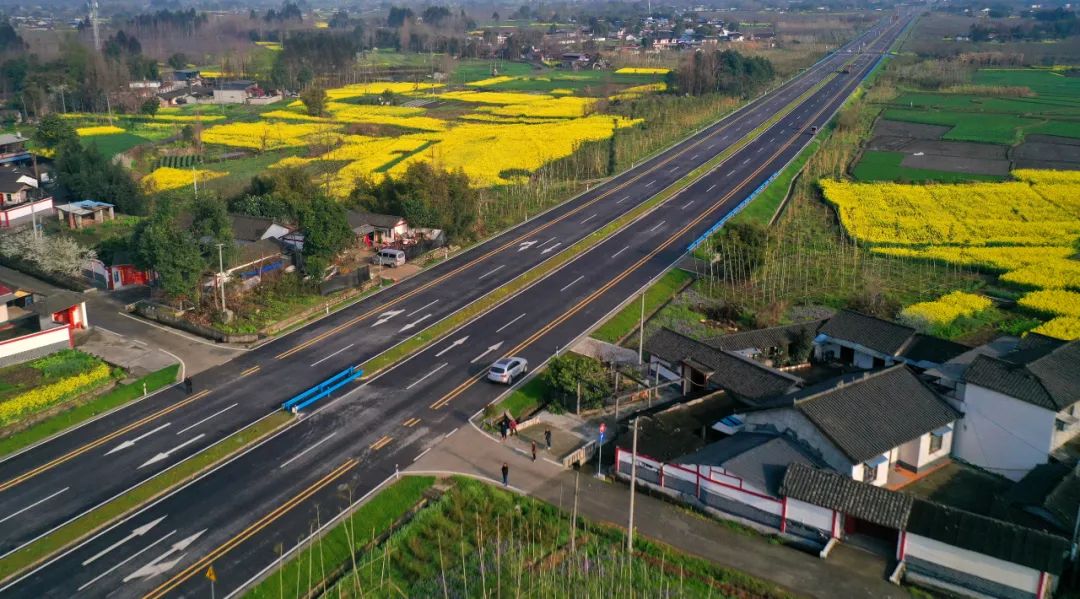 绵竹风景最好的地方在哪 (赏花一日游最佳去处绵竹)